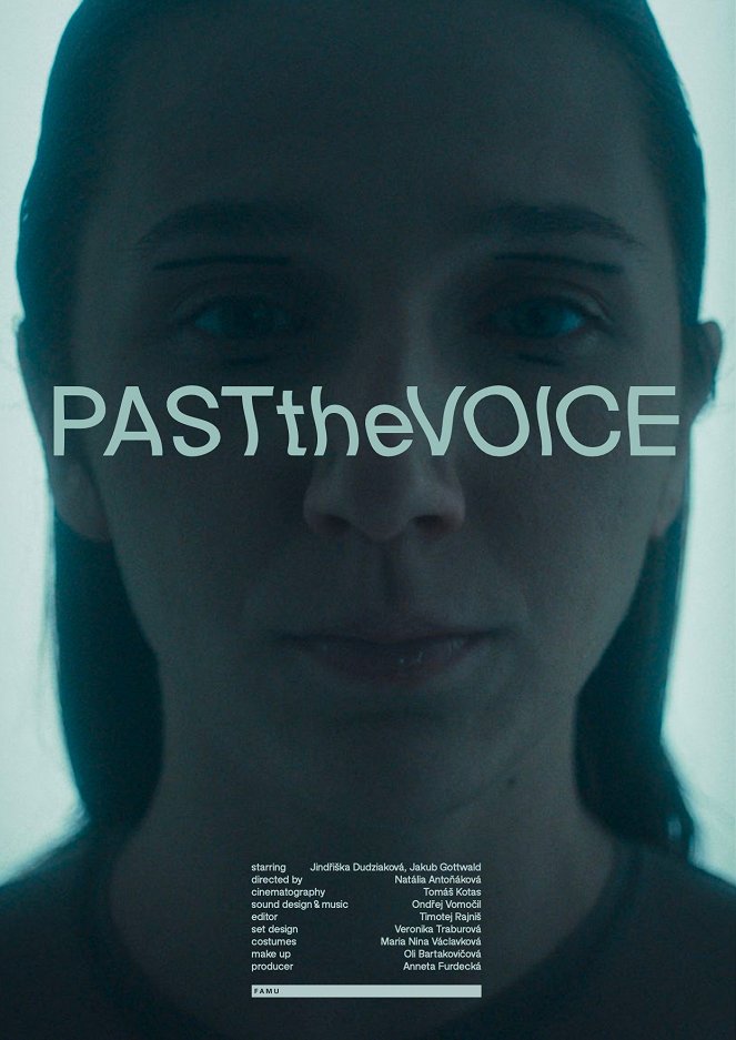 Past the Voice - Posters