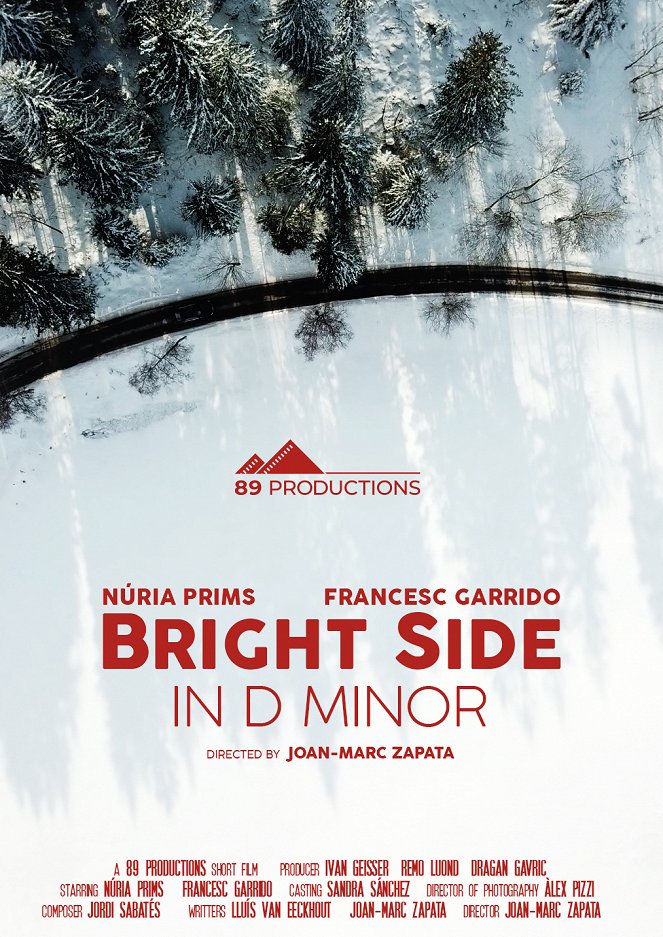 Bright side in D minor - Affiches