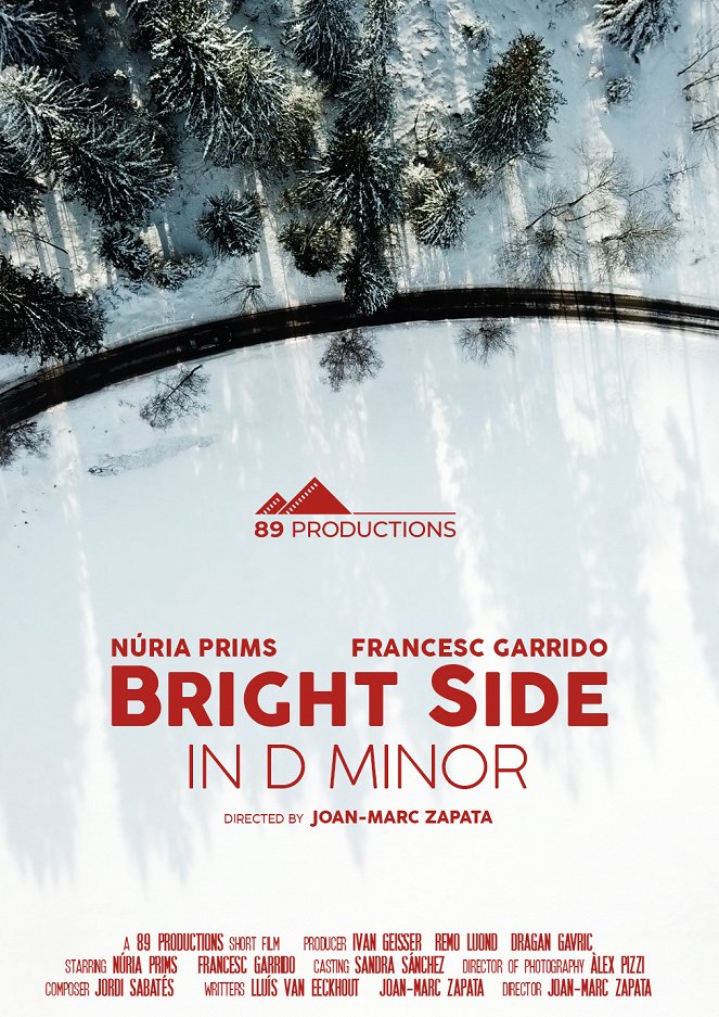 Bright side in D minor - Carteles