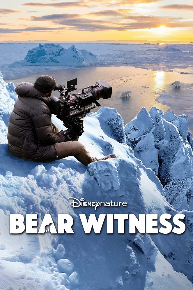 Bear Witness - Cartazes