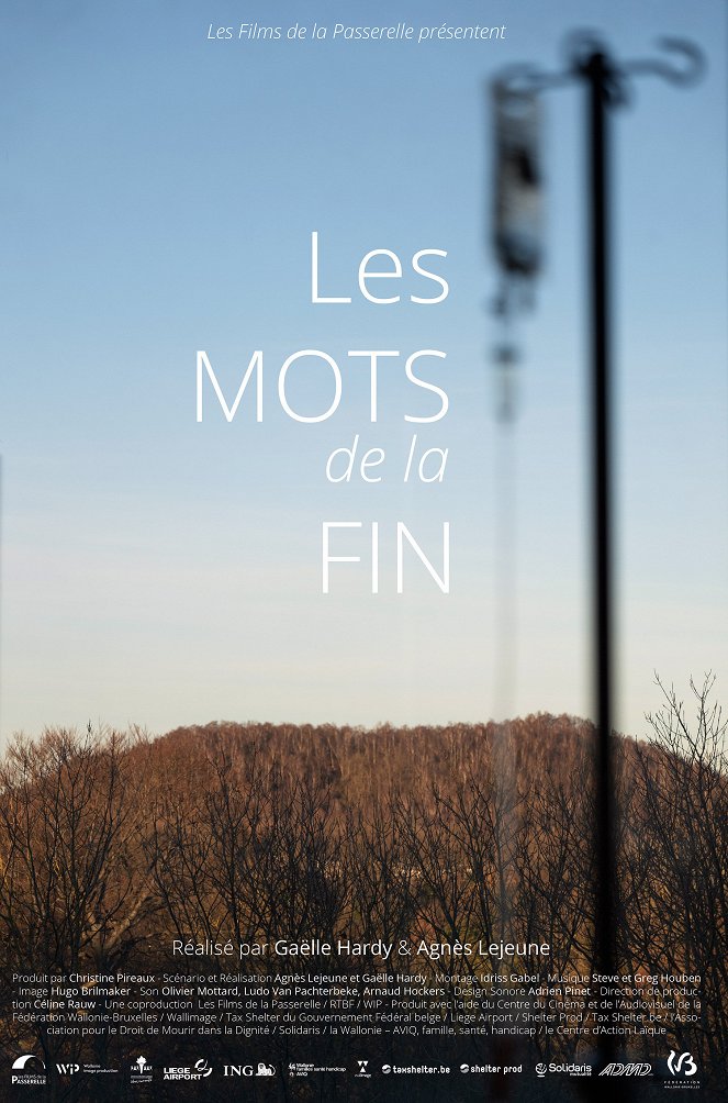 Les Mots de la fin - Affiches