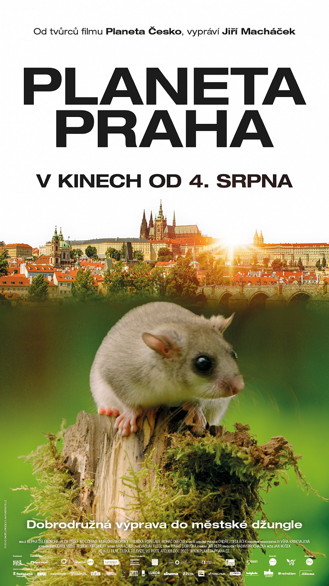 Wild Prague - Posters