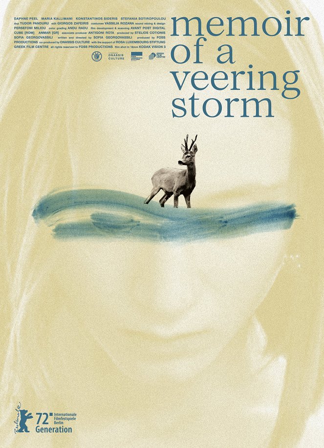 Memoir of a Veering Storm - Cartazes