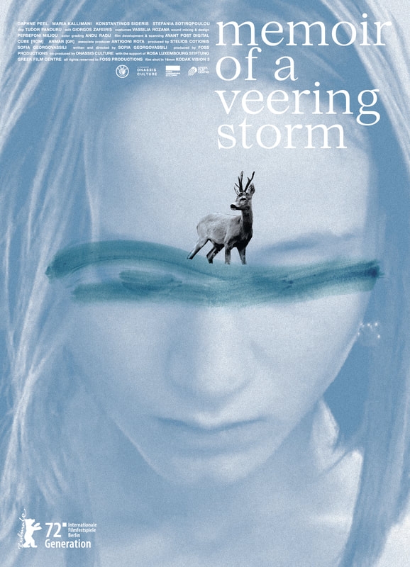 Memoir of a Veering Storm - Affiches