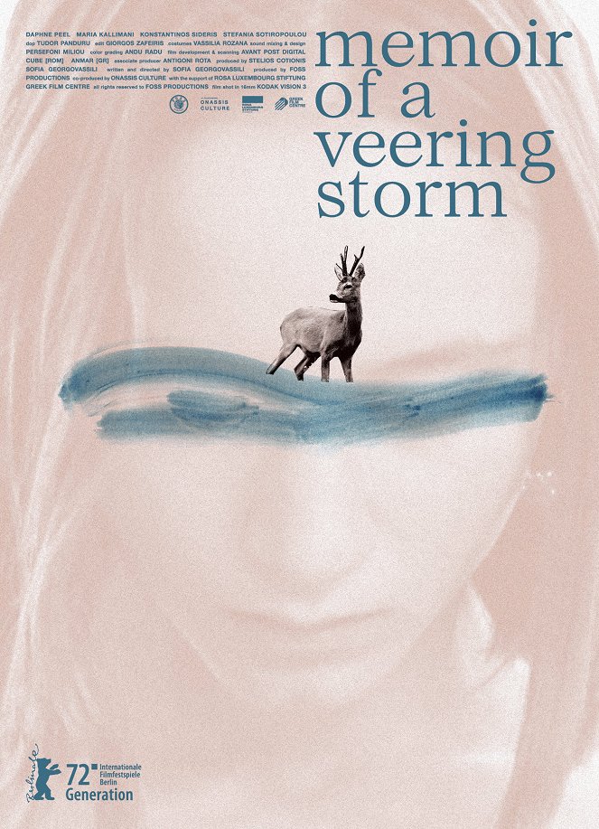 Memoir of a Veering Storm - Cartazes