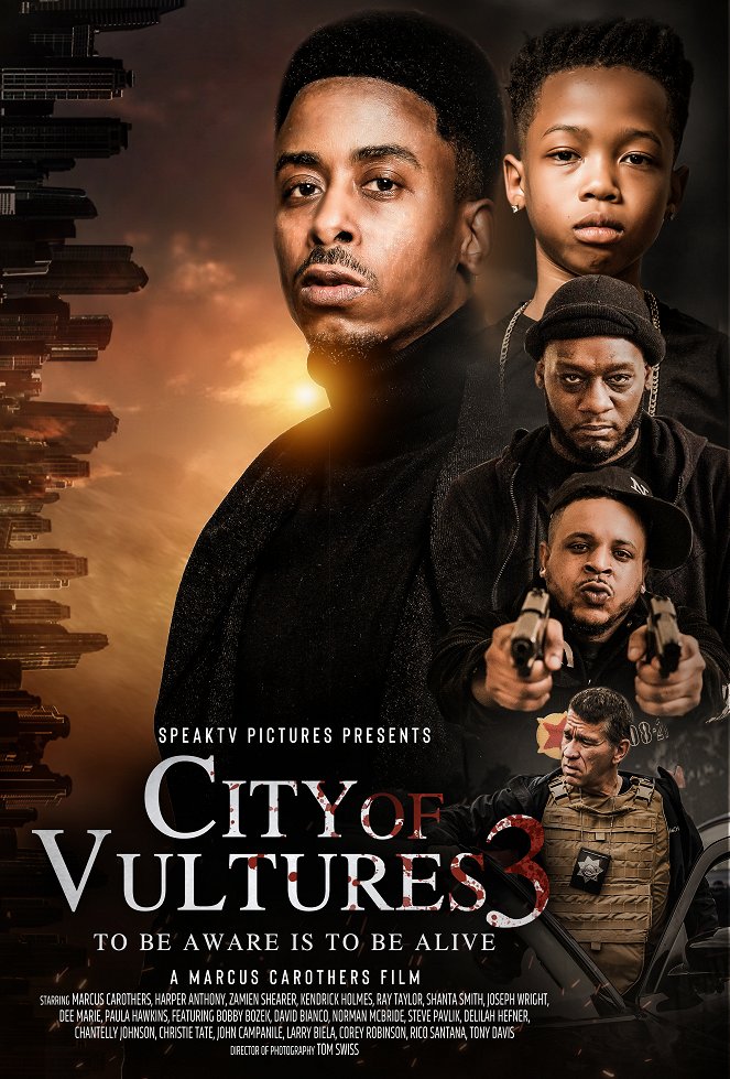 City of Vultures 3 - Affiches
