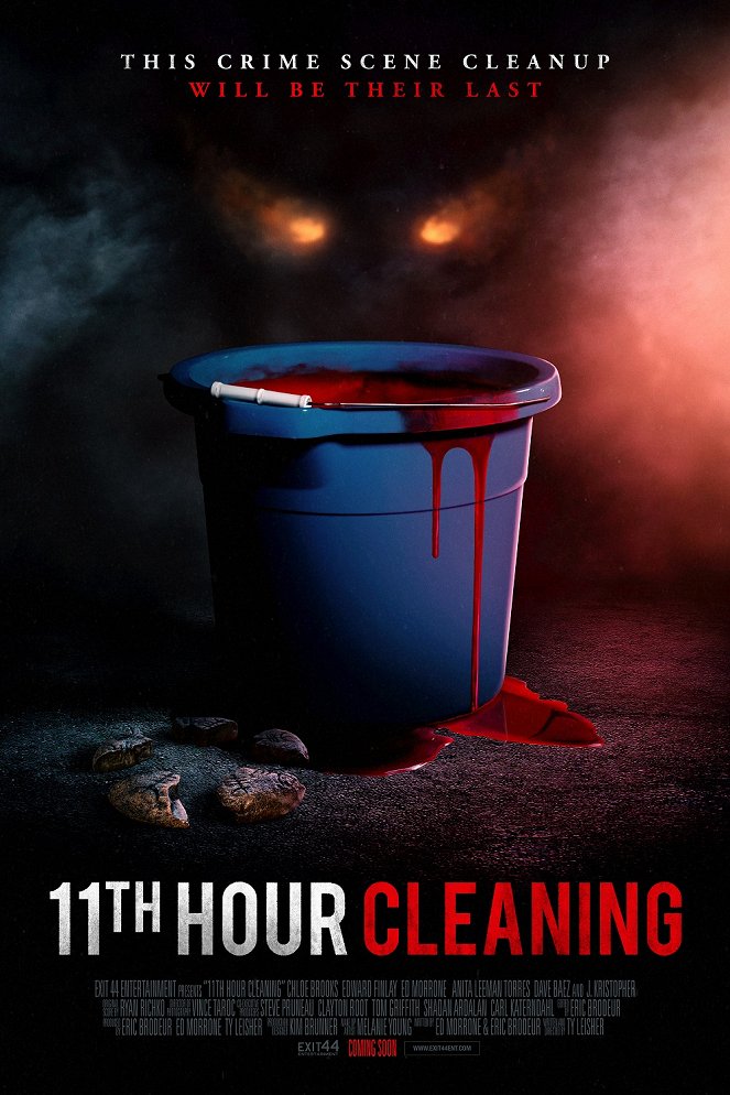 11th Hour Cleaning - Plakate