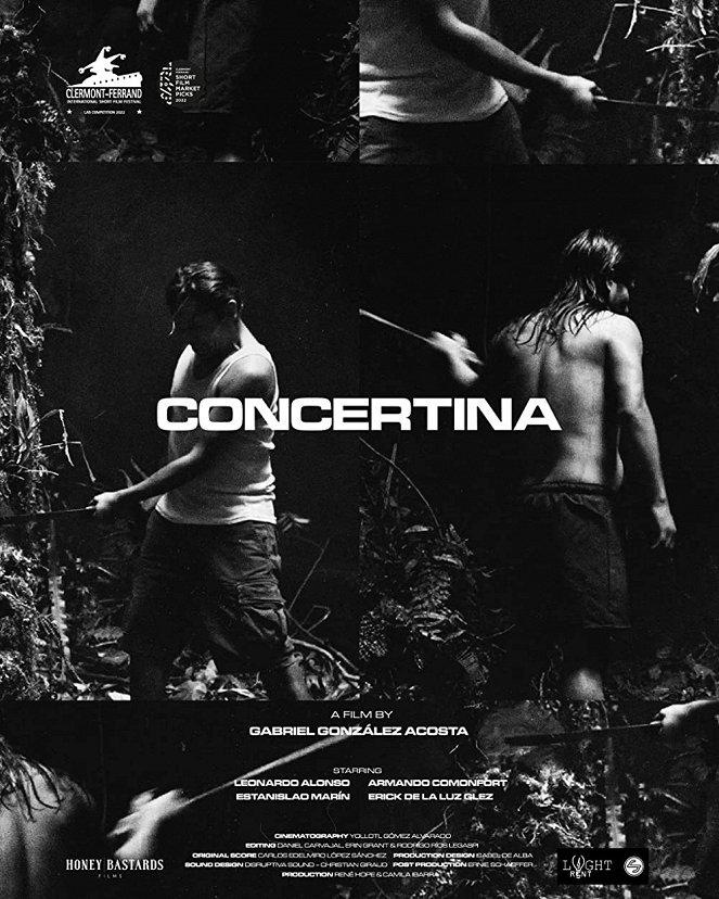 Concertina - Posters