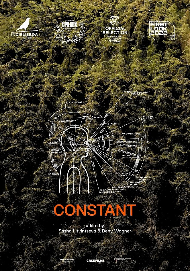 Constant - Posters