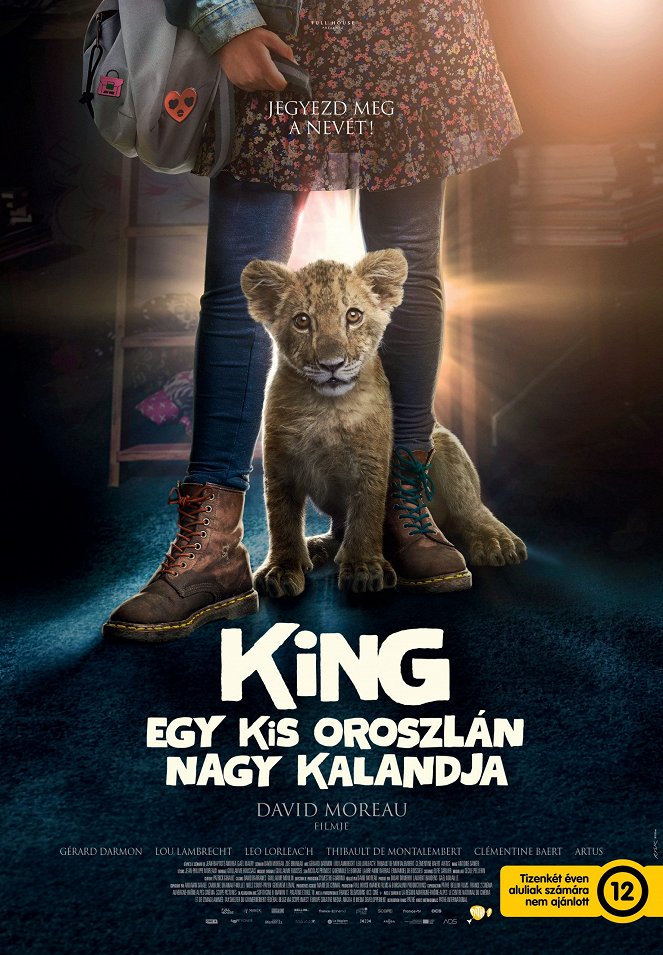 King - Egy kis oroszlán nagy kalandja - Plakátok