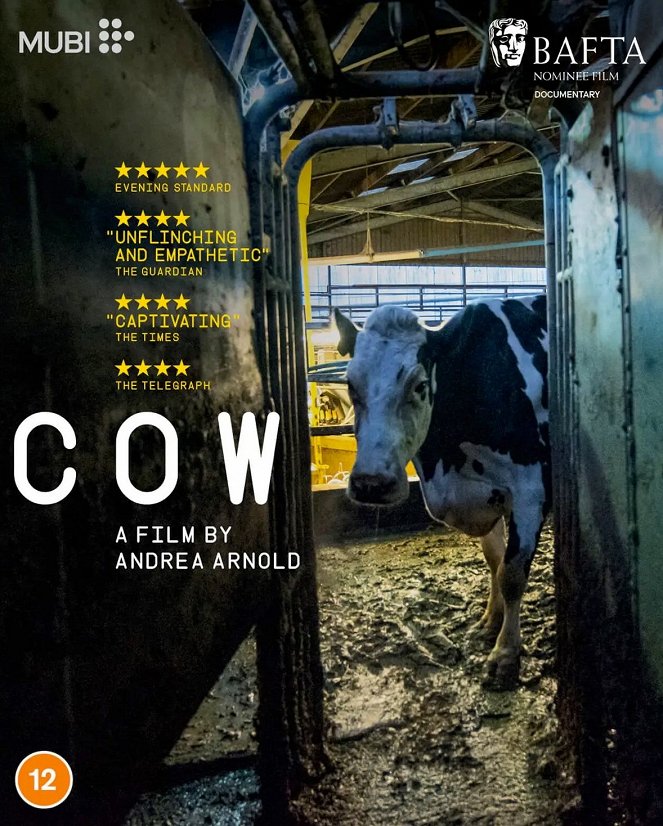 Cow - Plakaty