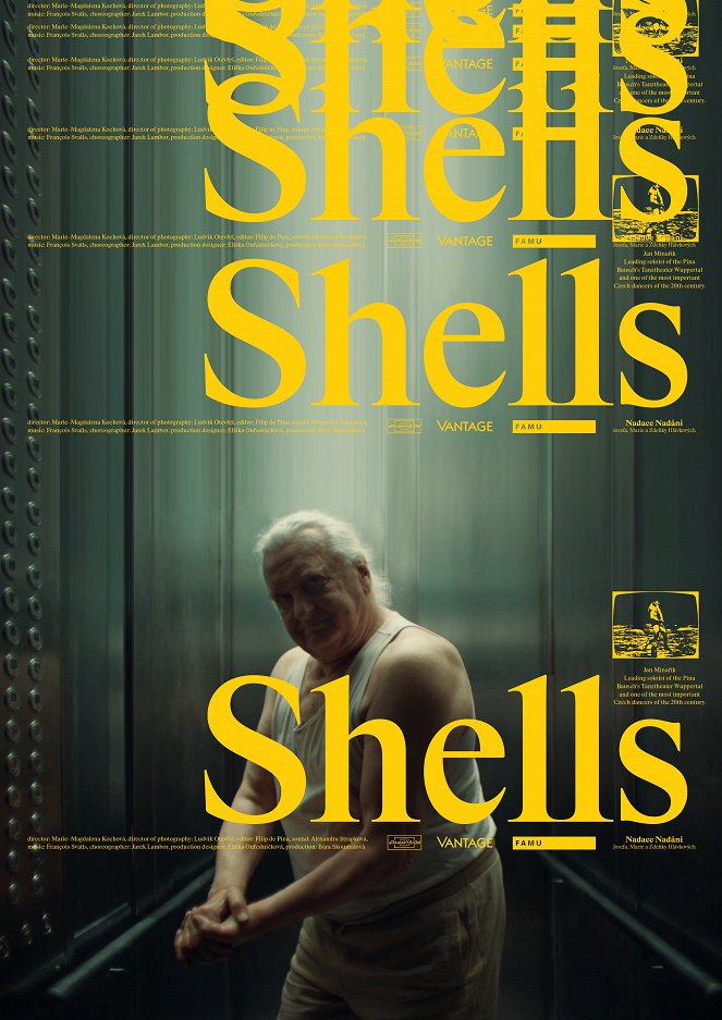 Shells - Posters