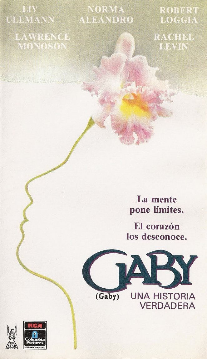 Gaby, una historia verdadera - Carteles