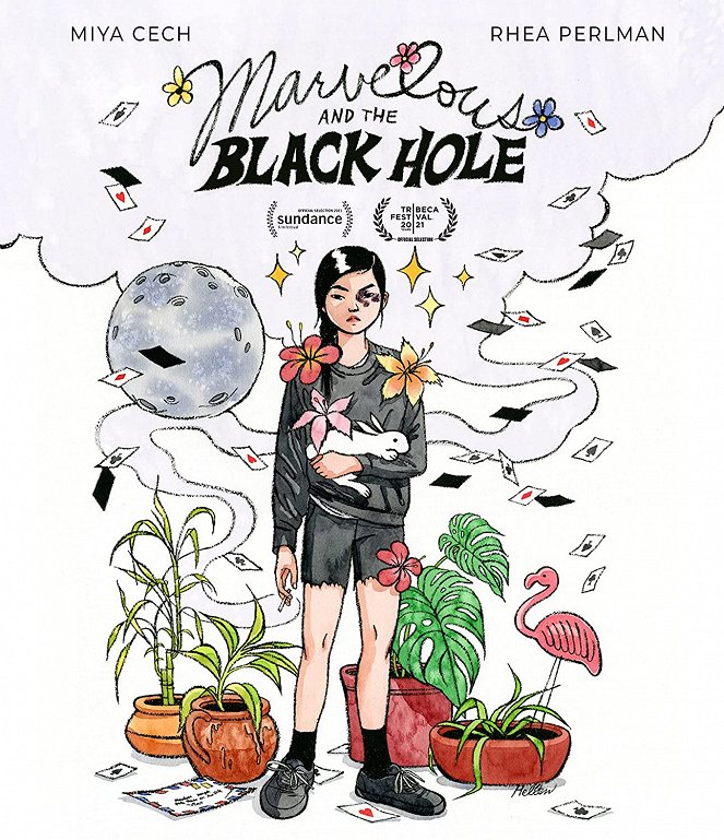 Marvelous and the Black Hole - Affiches