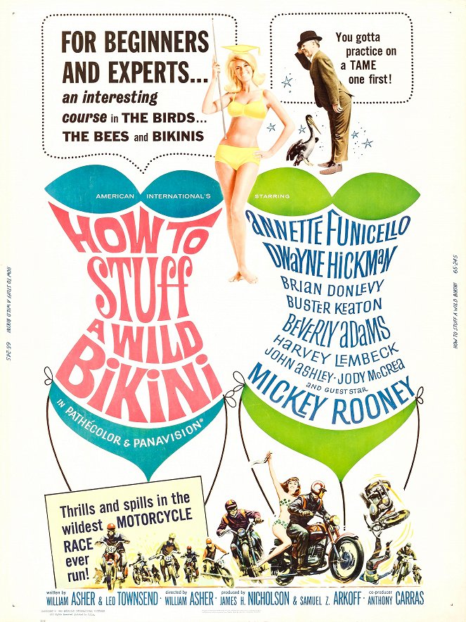 How to Stuff a Wild Bikini - Plakátok