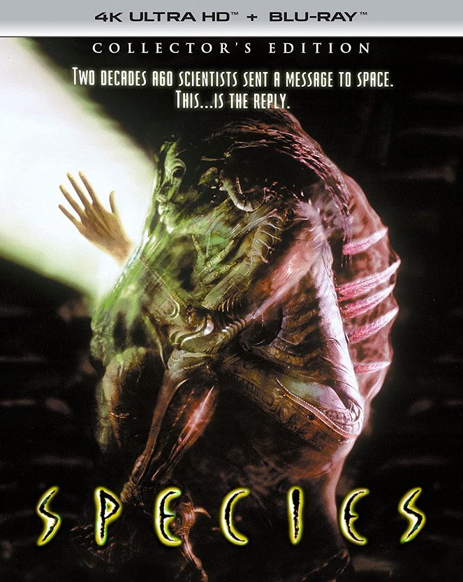 Species - Plakate