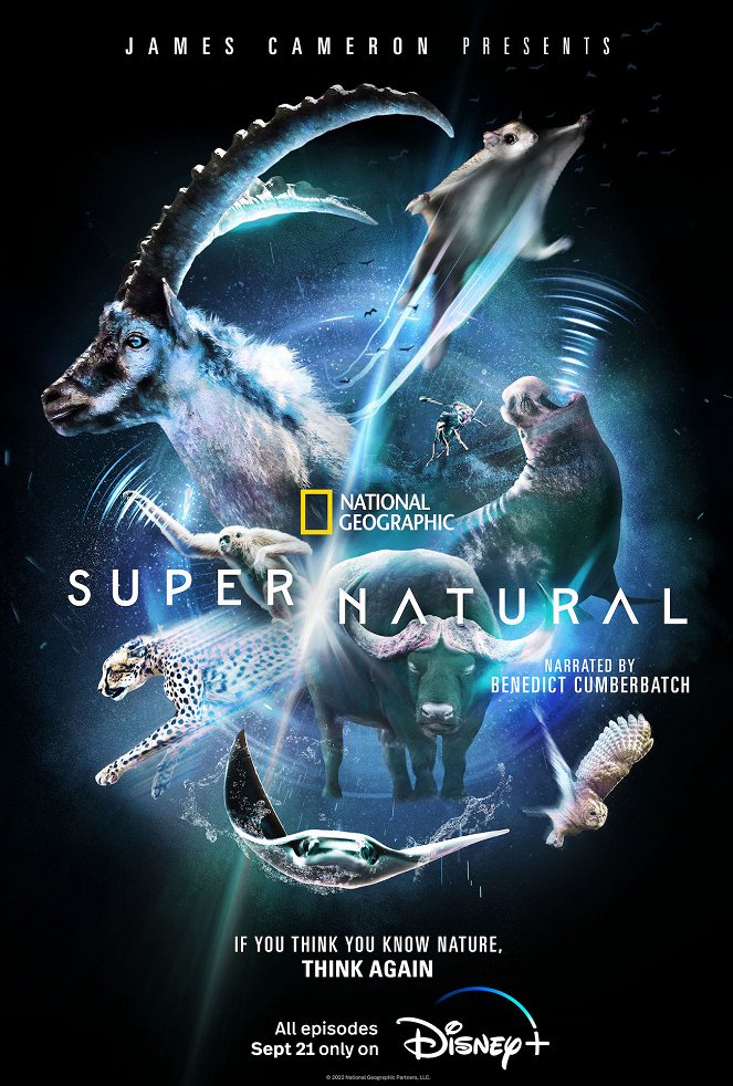 Super/Natural: Superschopnosti z říše zvířat - Plagáty