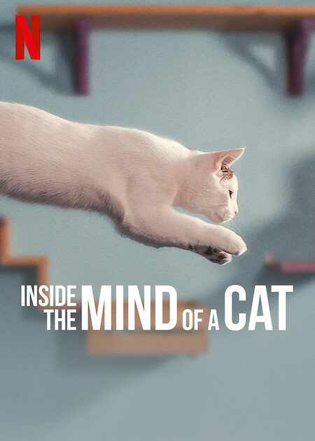 Inside the Mind of a Cat - Carteles