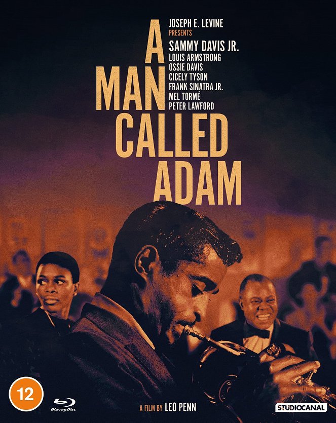 A Man Called Adam - Posters