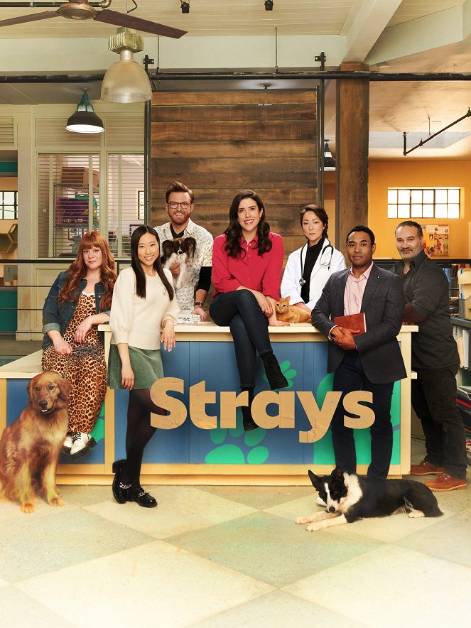 Strays - Strays - Season 1 - Posters