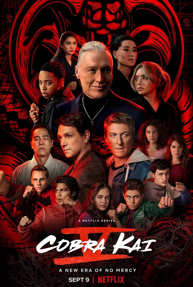 Cobra Kai - Season 5 - Posters