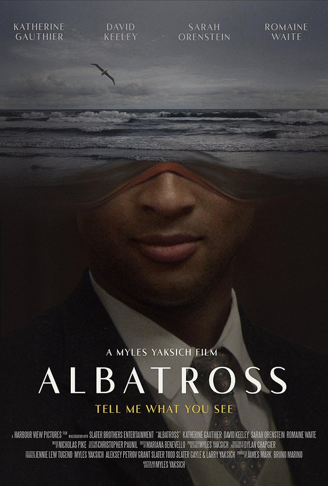 Albatross - Posters