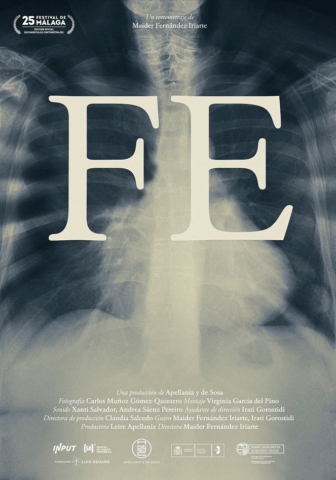 Fe - Affiches