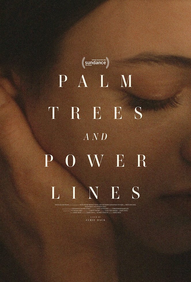 Palm Trees and Power Lines - Affiches