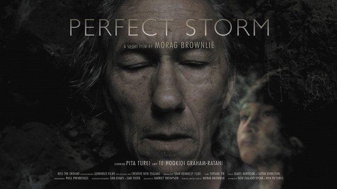 Perfect Storm - Cartazes