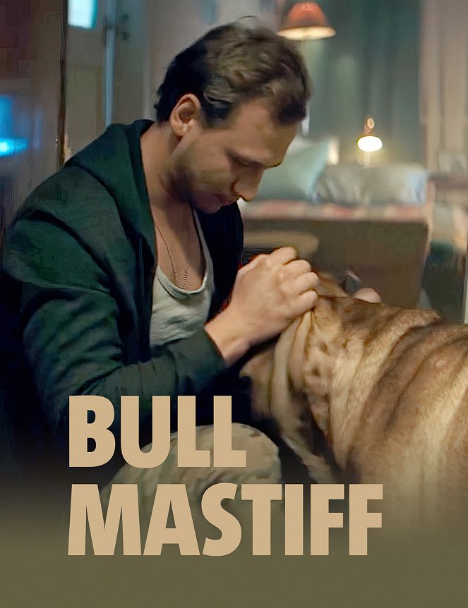 Bullmastiff - Plakate