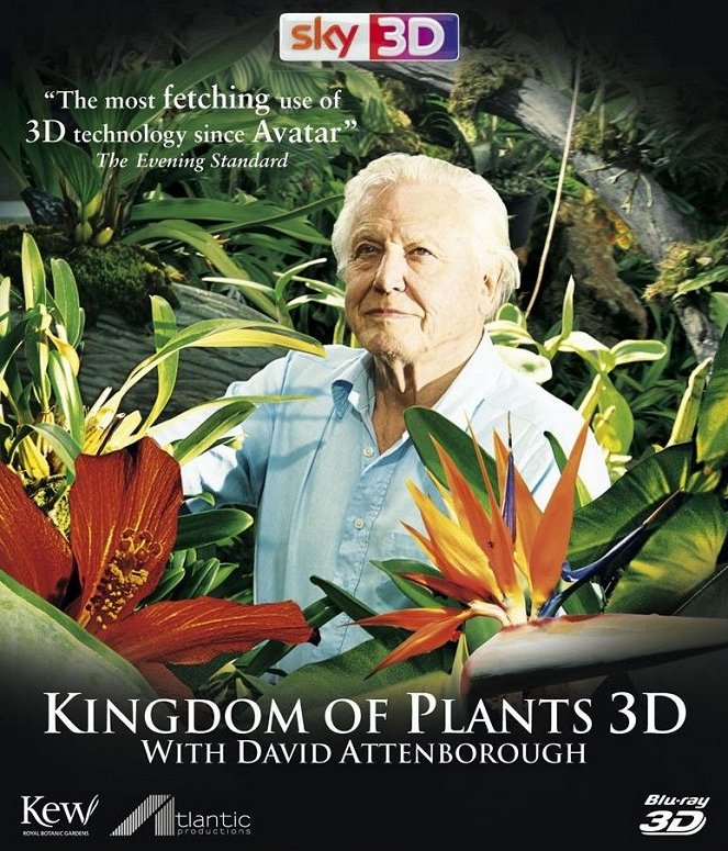 Kingdom of Plants 3D - Carteles