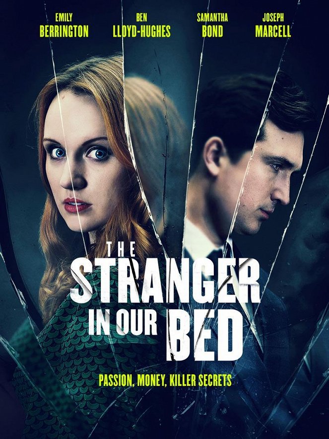 The Stranger in Our Bed - Affiches