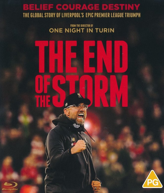 The End of the Storm - Affiches