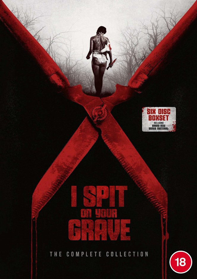 I Spit on Your Grave - Posters