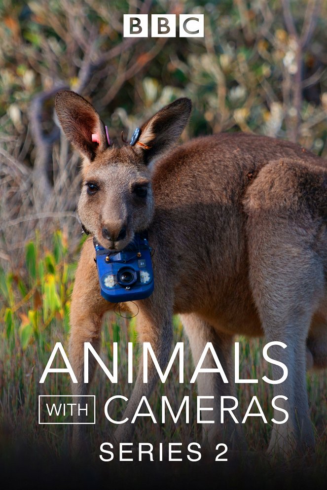 Animals With Cameras - Animals With Cameras - Season 2 - Affiches