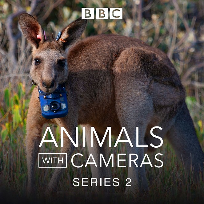 Animals With Cameras - Animals With Cameras - Season 2 - Julisteet