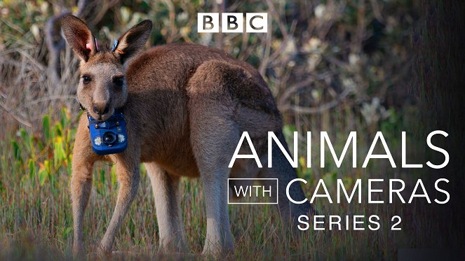 Animals With Cameras - Animals With Cameras - Season 2 - Affiches