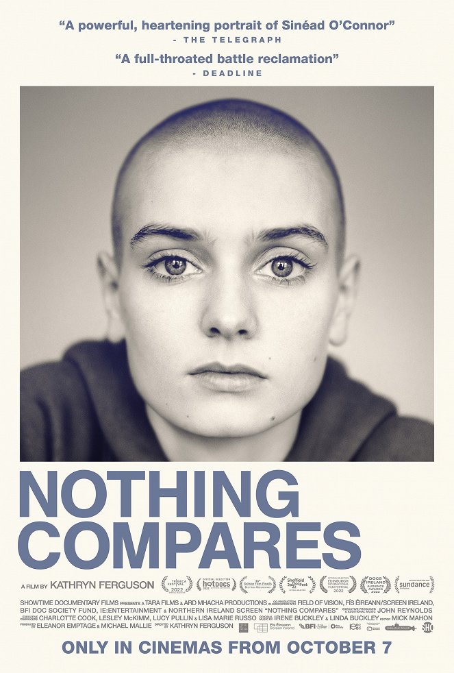 Nothing Compares - Posters