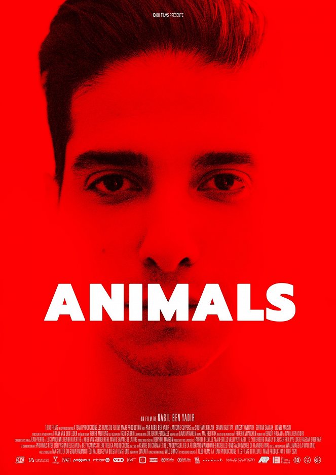 Animals - Cartazes