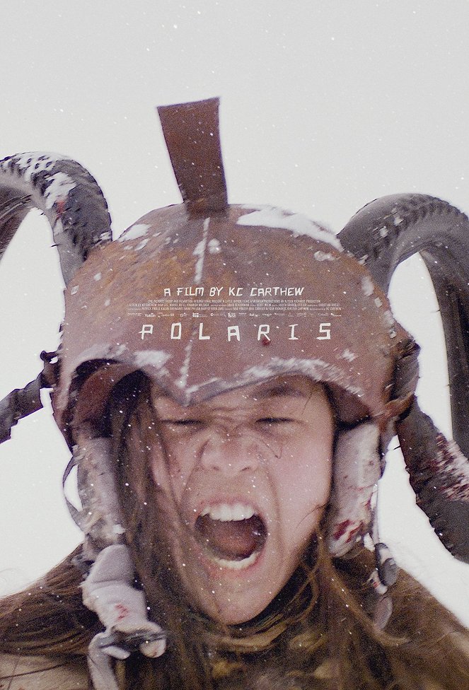 Polaris - Plakate