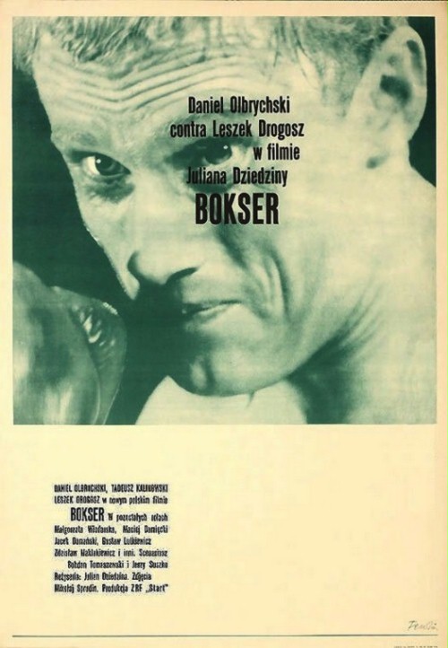 Bokser - Plakate