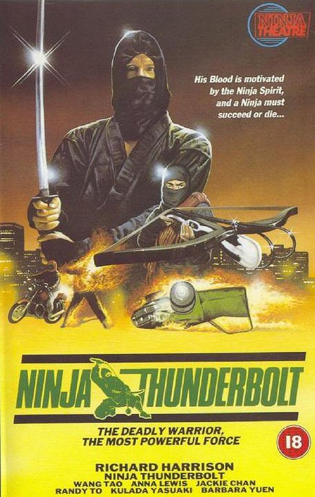 Ninja Thunderbolt - Posters
