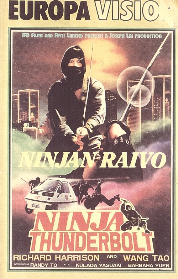 Ninjan raivo - Julisteet