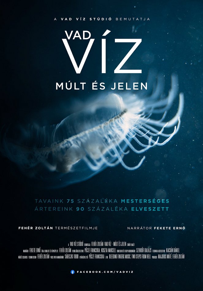 Múlt és jelen - Vizeink az ember kezében - Plakate