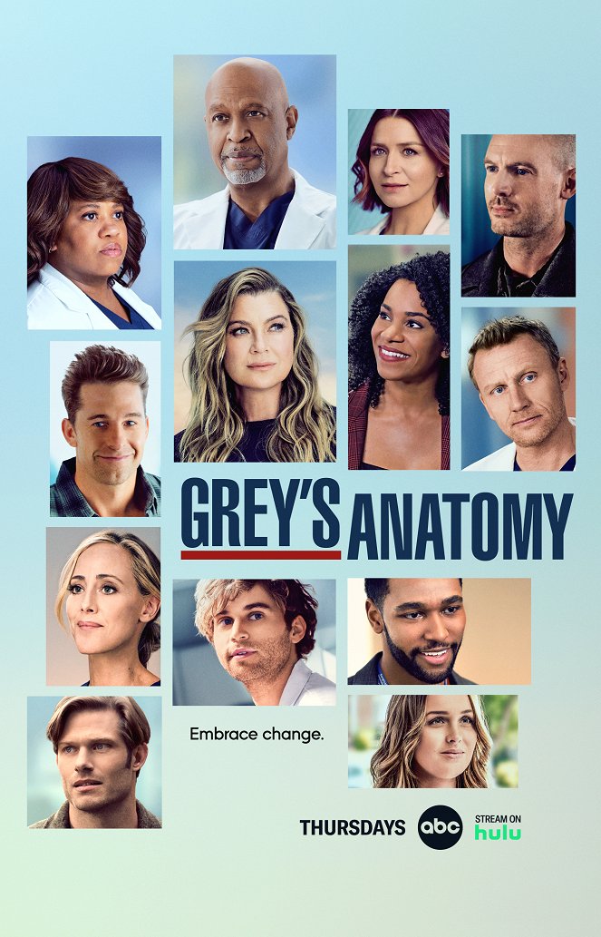 Greyn anatomia - Season 19 - Julisteet