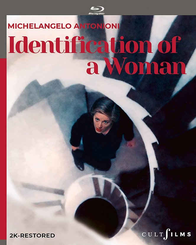 Identification of a Woman - Posters
