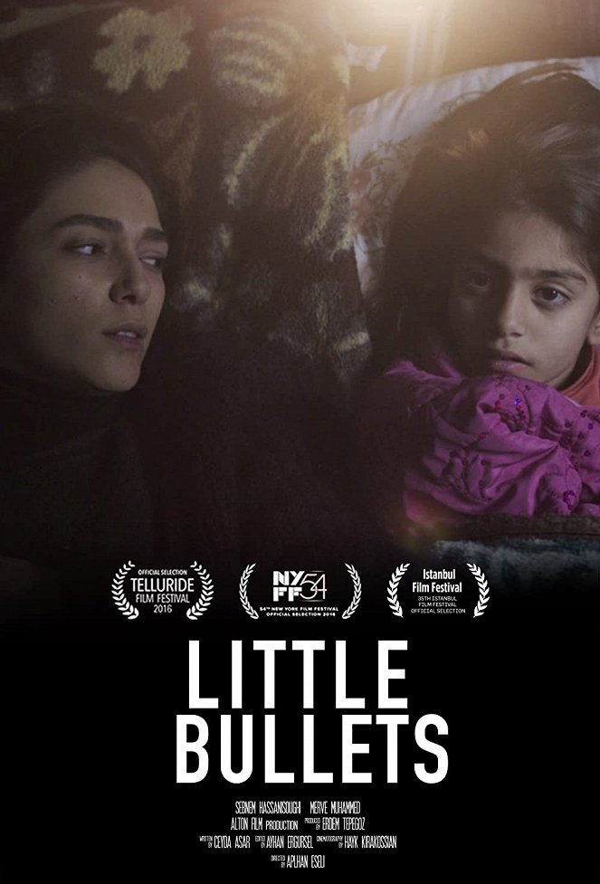 Little Bullets - Posters