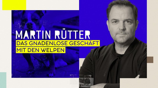 Martin Rütter - Das gnadenlose Geschäft mit den Welpen - Affiches