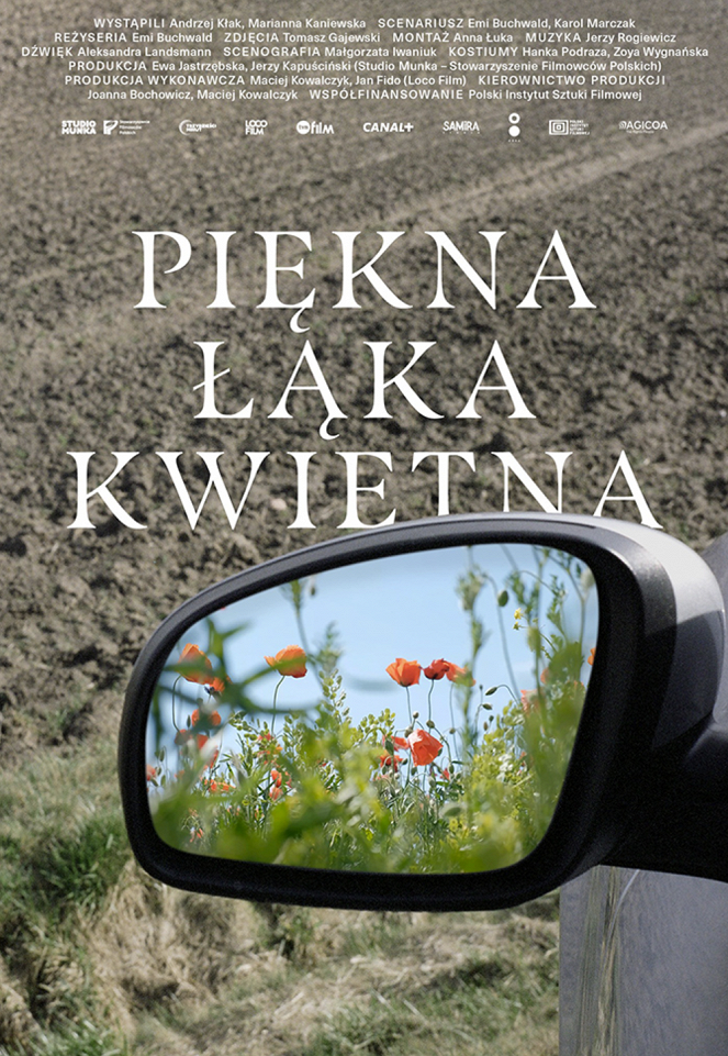 Piękna łąka kwietna - Affiches