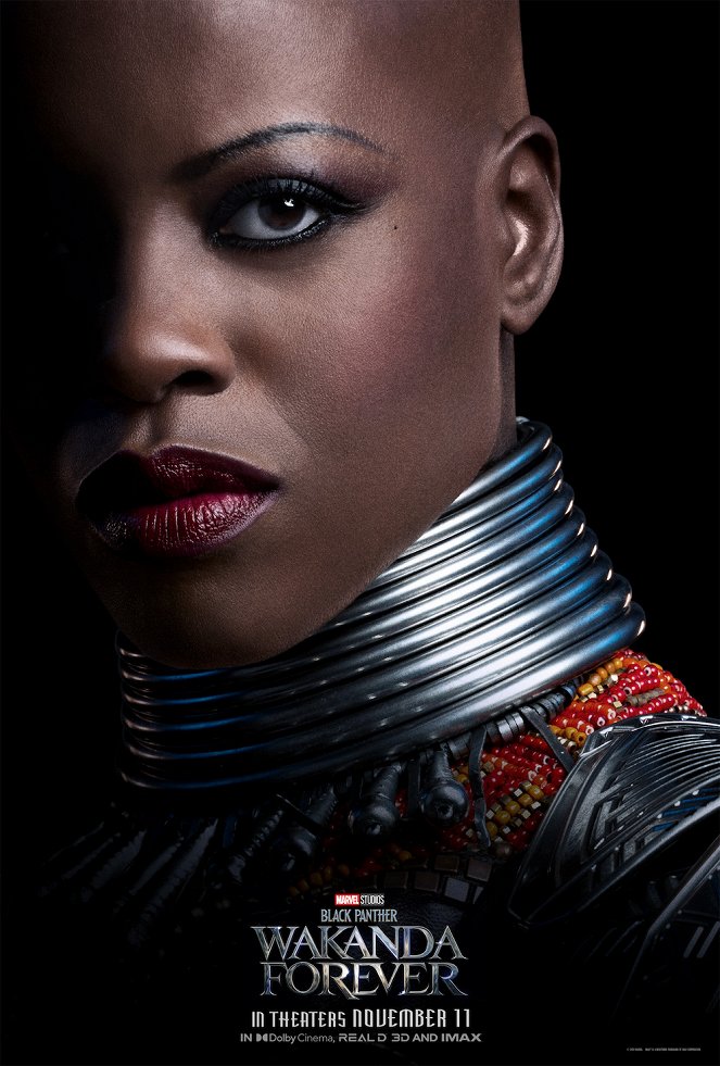 Black Panther: Wakanda nechť žije - Plakáty